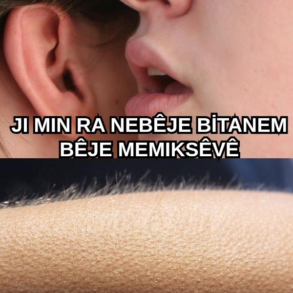 XweKurdi's tweet image. 