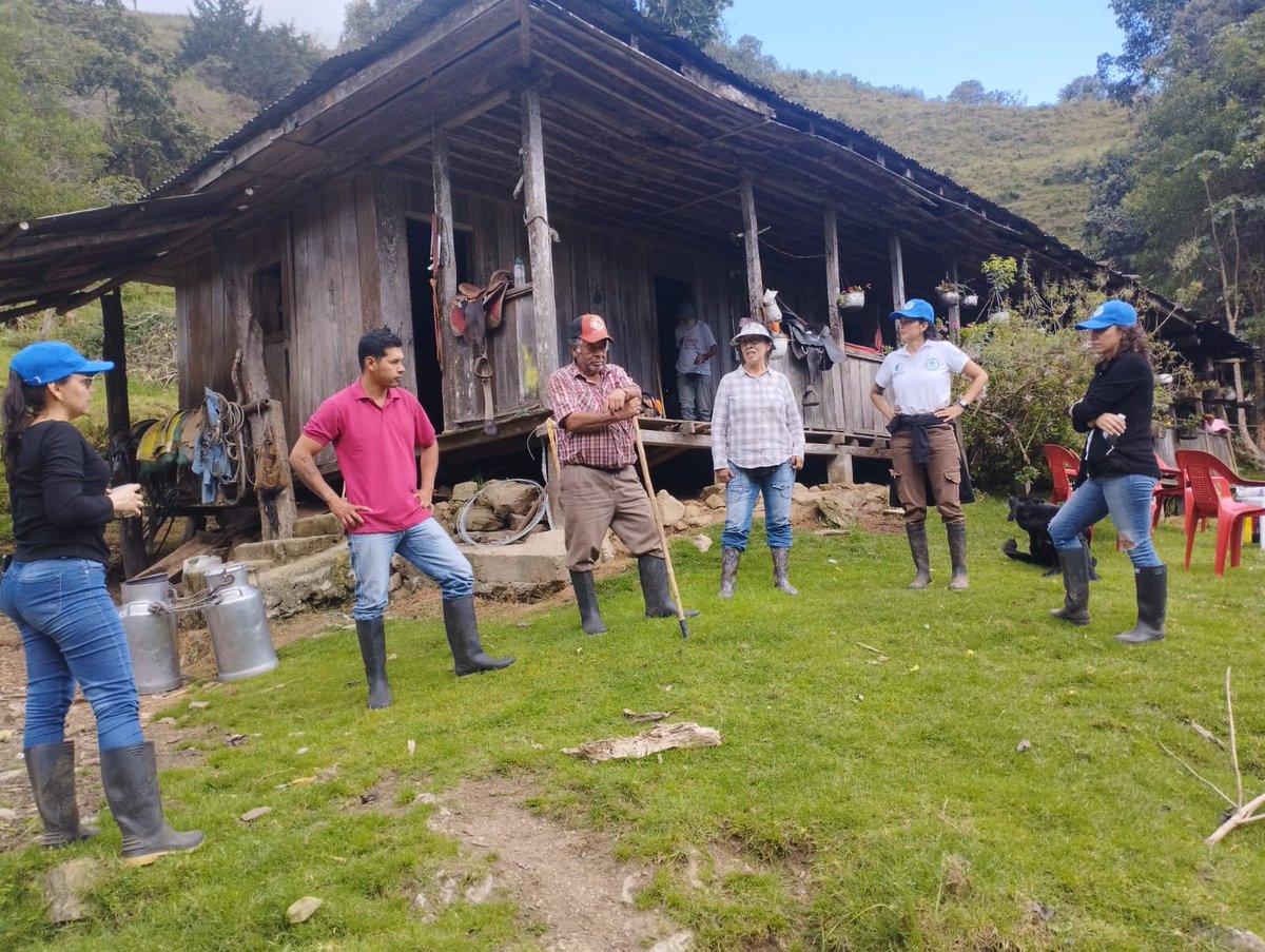 El proyecto  #ParamosMacizo aporta a la conservación de los #Páramos del Valle del Cauca. Los beneficiarios del componente de reconversión productiva manifestaron mejor organización del predio y mejores pasturas, gracias a los sistemas silvopastoriles ambientalmente responsables.