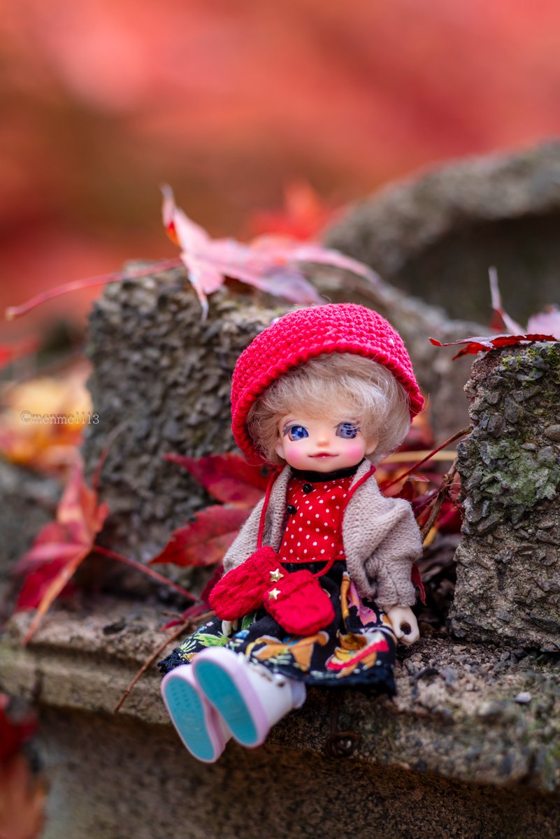 さよなら～～(´;ω;｀)大好きな秋🍁先々週に紅葉狩に行ってきました。 ここの紅葉の景色と星空はまた後日ツリーに投稿します～