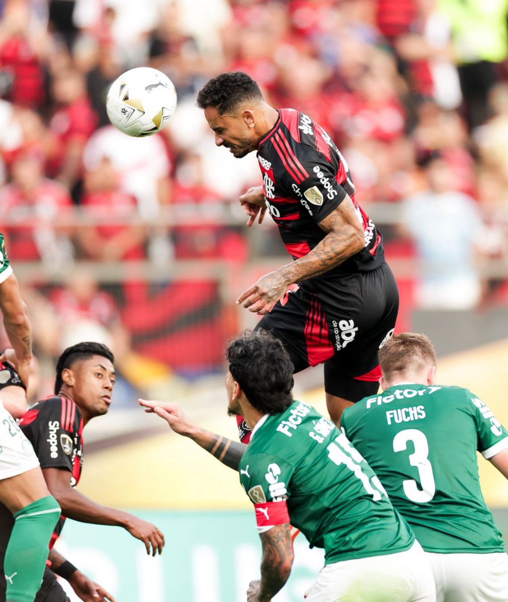 crfflamengooo's tweet photo. @NJevy0502 @Palmeiras @CopaDoBrasil @Libertadores Belo argumento, pena que o Danilo subiu mais alto que seus dois zagueiros😭 https://t.co/wfEYxawhdw