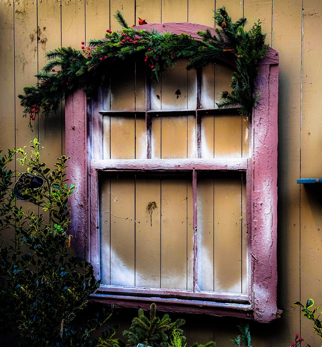 sheenz_m_'s tweet image. #AlphabetChallenge #WeekWforWindows