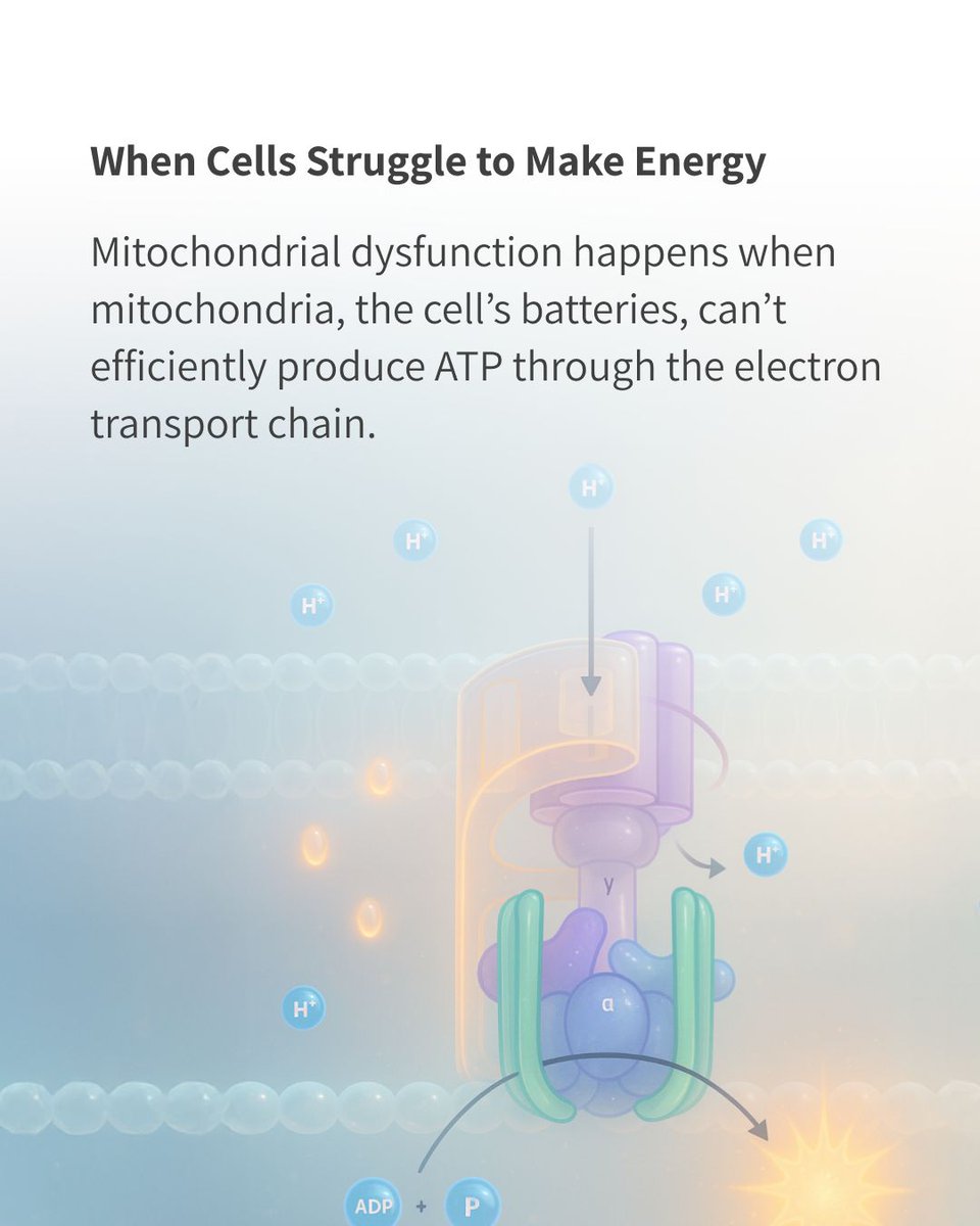 Neuronic tweet media