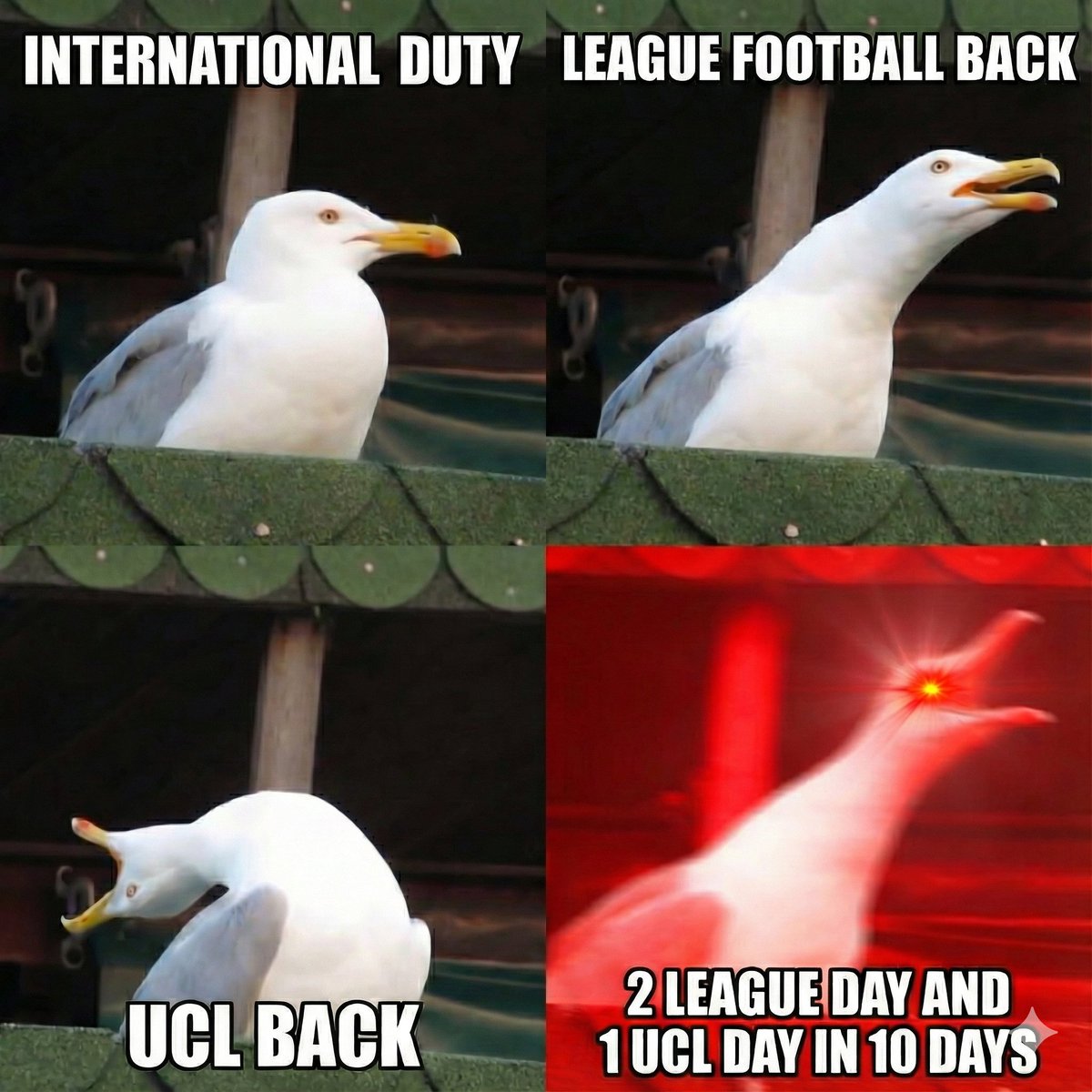 Protect the bankroll 🫡