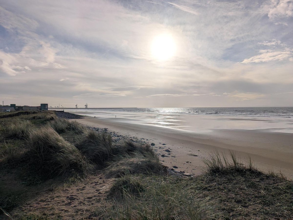 Earth Science Partnership tweet media