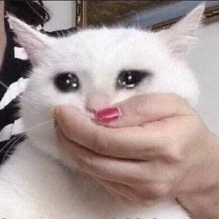 tine (@demimo0res) on Twitter photo 