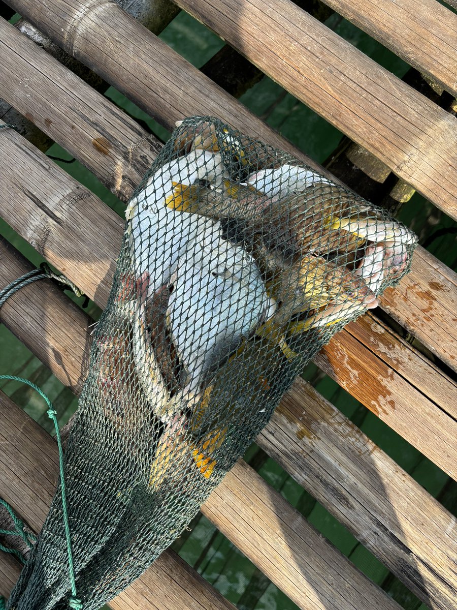 kayin🦖 tweet media