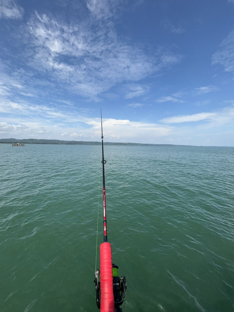 kayin🦖 tweet media