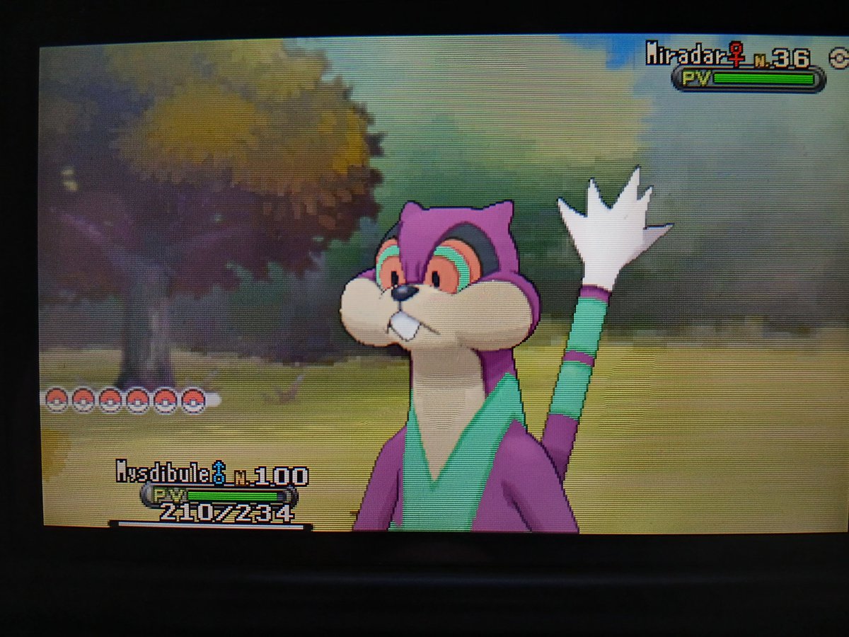 🌟697/1025🌟: Miradar shiny trouvée sur une chaîne de 41 rencontres au Pokéradar et après 3 chaînes brisées 😉 
Famille complète ✅️