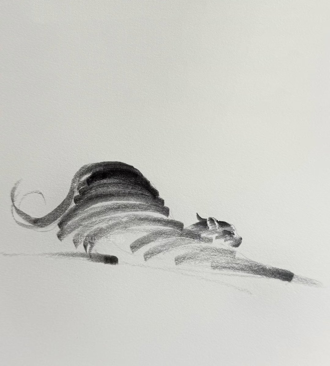 shouxin13141's tweet image. A full little stretching sequence today.
Stretch, stretch, stretch… then flop. 😌🐱
#shouxinsketch #petart #animalart #illustrationartists #cat #pet #sketch #sketchdaily