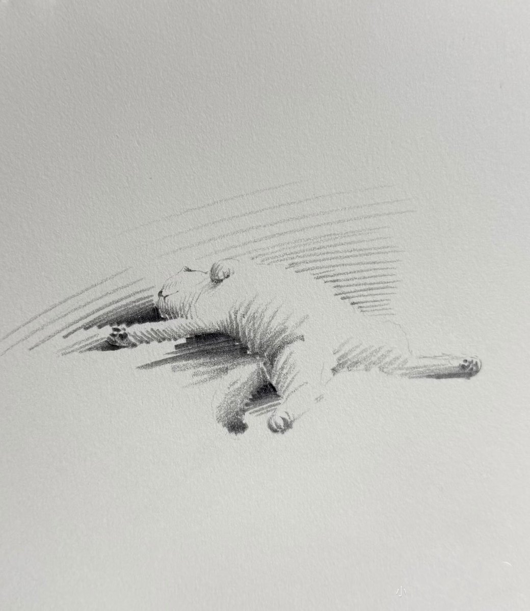 A full little stretching sequence today.
Stretch, stretch, stretch… then flop. 😌🐱
#shouxinsketch #petart #animalart #illustrationartists #cat #pet #sketch #sketchdaily