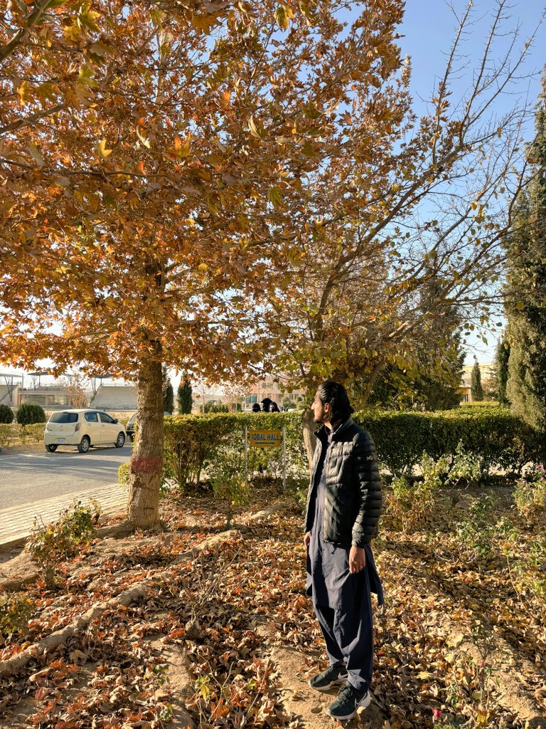 _Asifmagsi's tweet photo. Do not see autumn as melancholy see it as unique.
It is the season that teaches us
that beauty in life exists both in vibrant colors and in graceful Farewells https://t.co/kzbqp3skgH