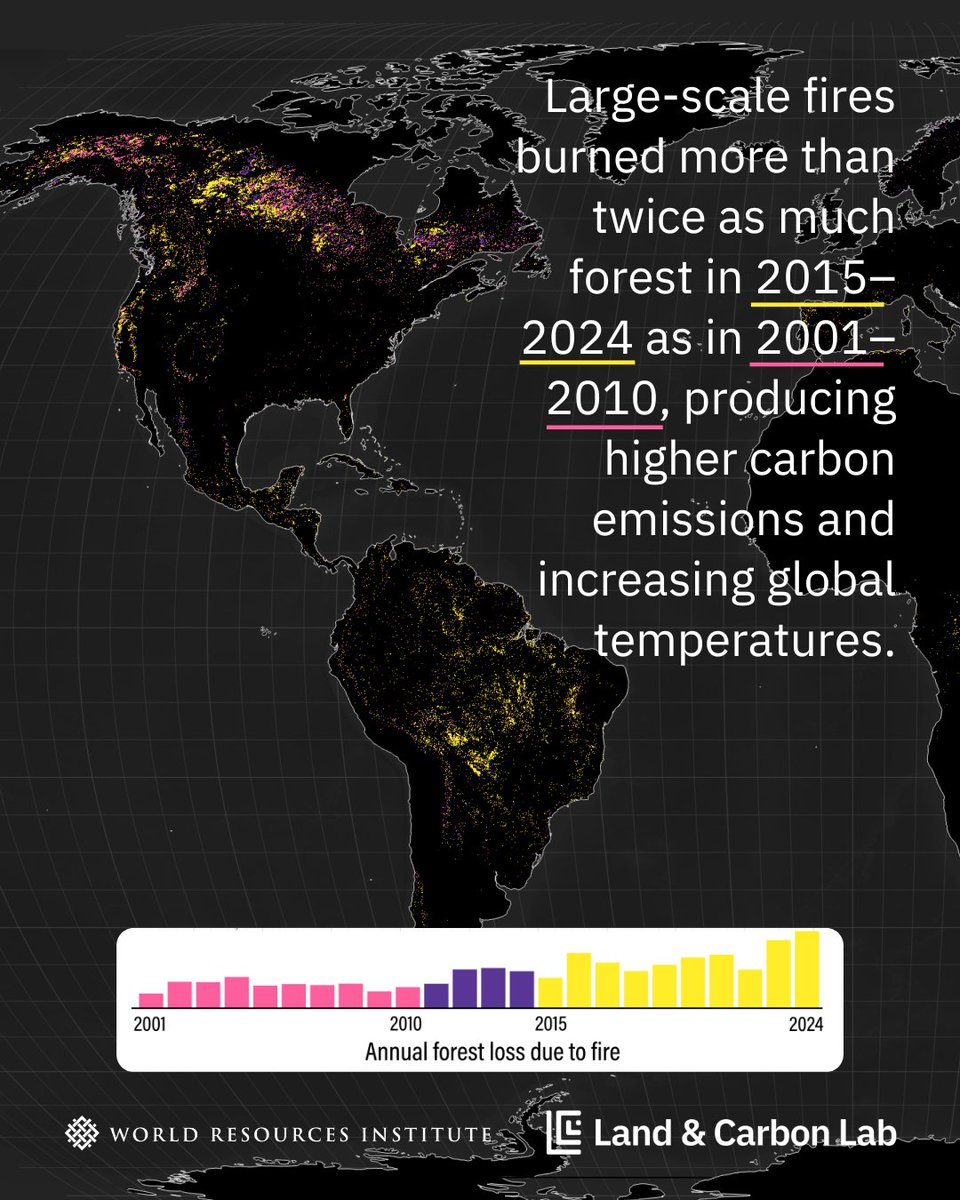 Land & Carbon Lab tweet media