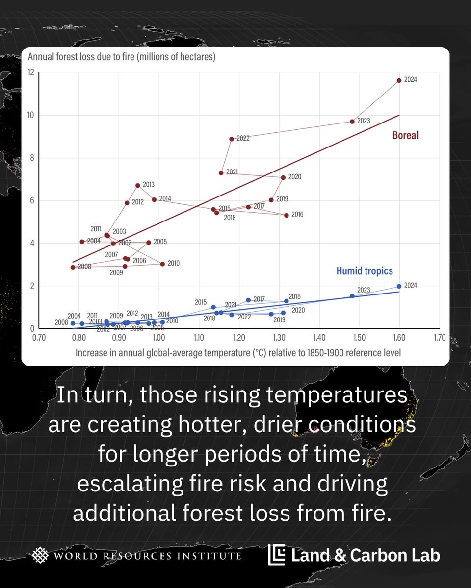 Land & Carbon Lab tweet media