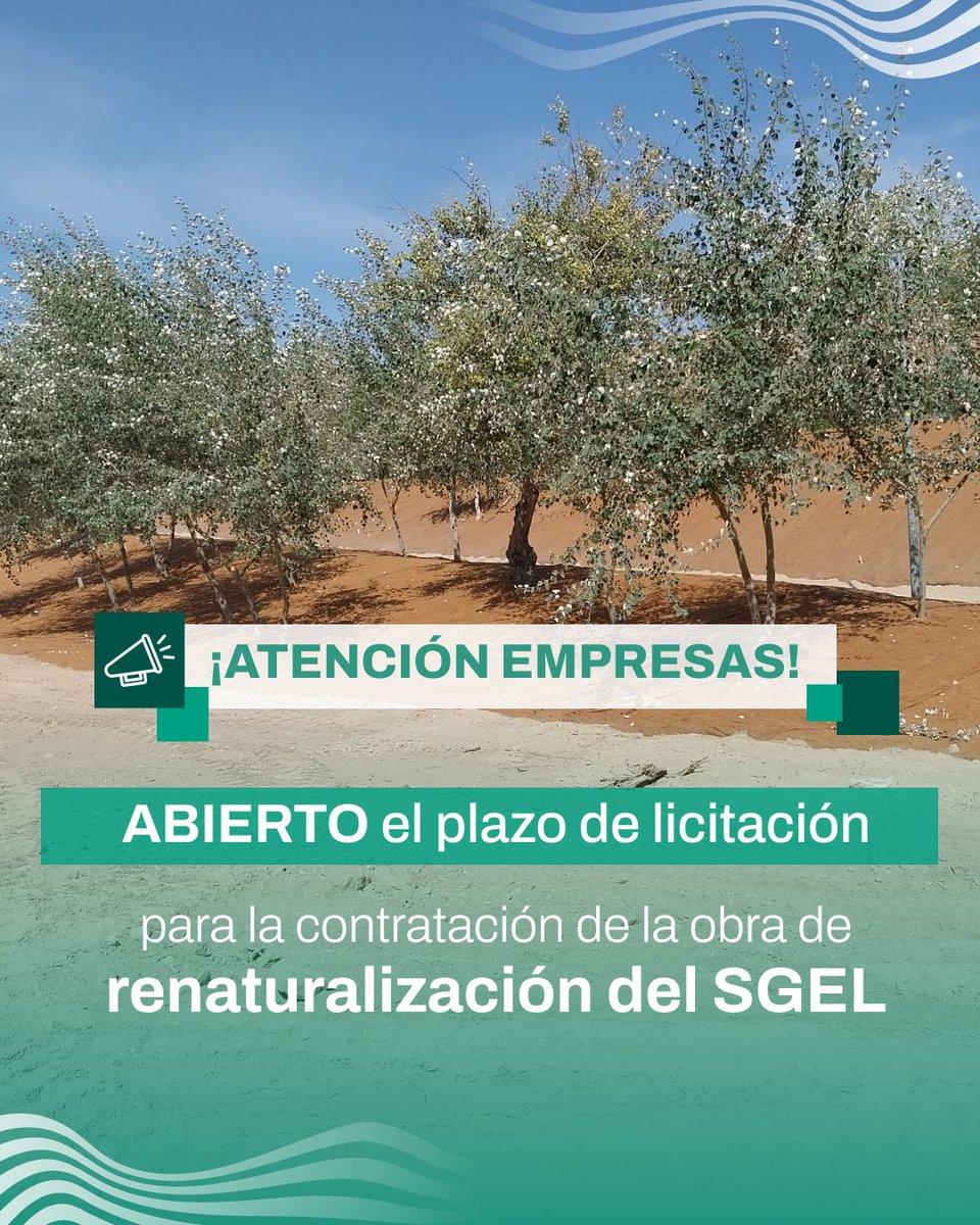 paseodelgenil's tweet photo. 📣 ¡Abrimos nueva licitación para seguir renaturalizando nuestro entorno! 🌱💧

📄 Toda la información y documentación aquí 
https://t.co/2VFSlXMZwL

Financia @FBiodiversidad 
#ProyectosPRTR @P_Recuperacion 

#PaseodelGenil #Licitación #Loja #NextGenerationEU https://t.co/FiDP1Iyf3r