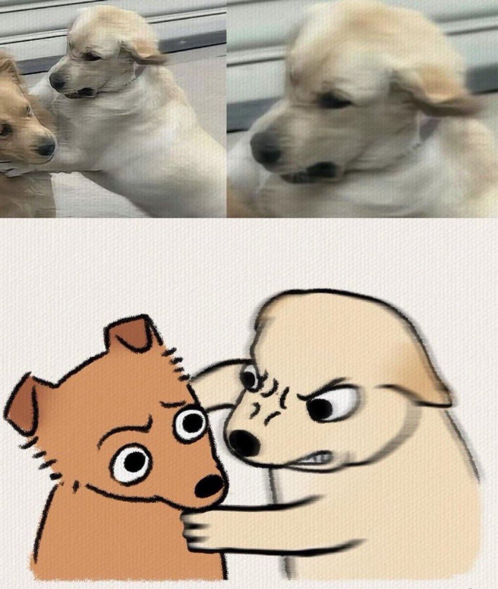 everything dogs 🐶 (@everythingdogss) on Twitter photo 