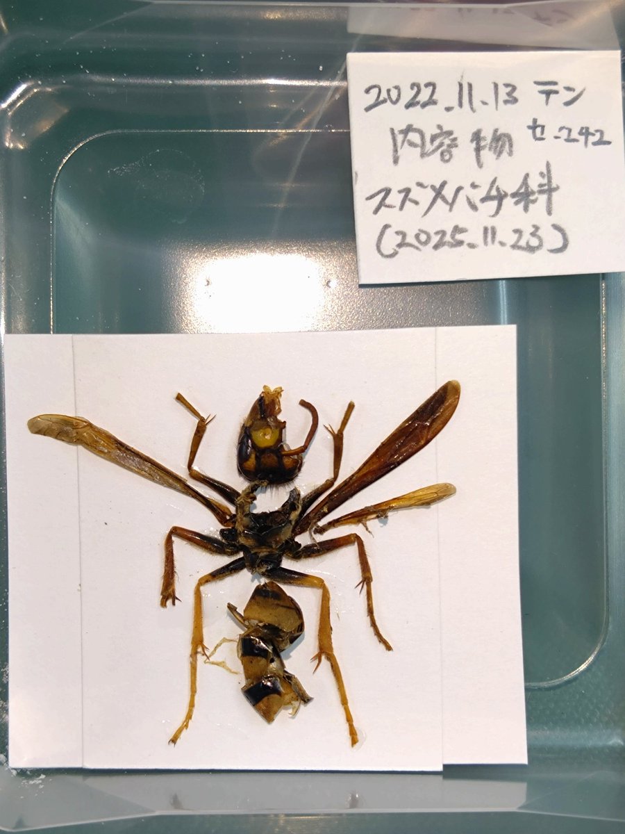 じゅんじゅん (@JJJUUNNN) / Posts / X