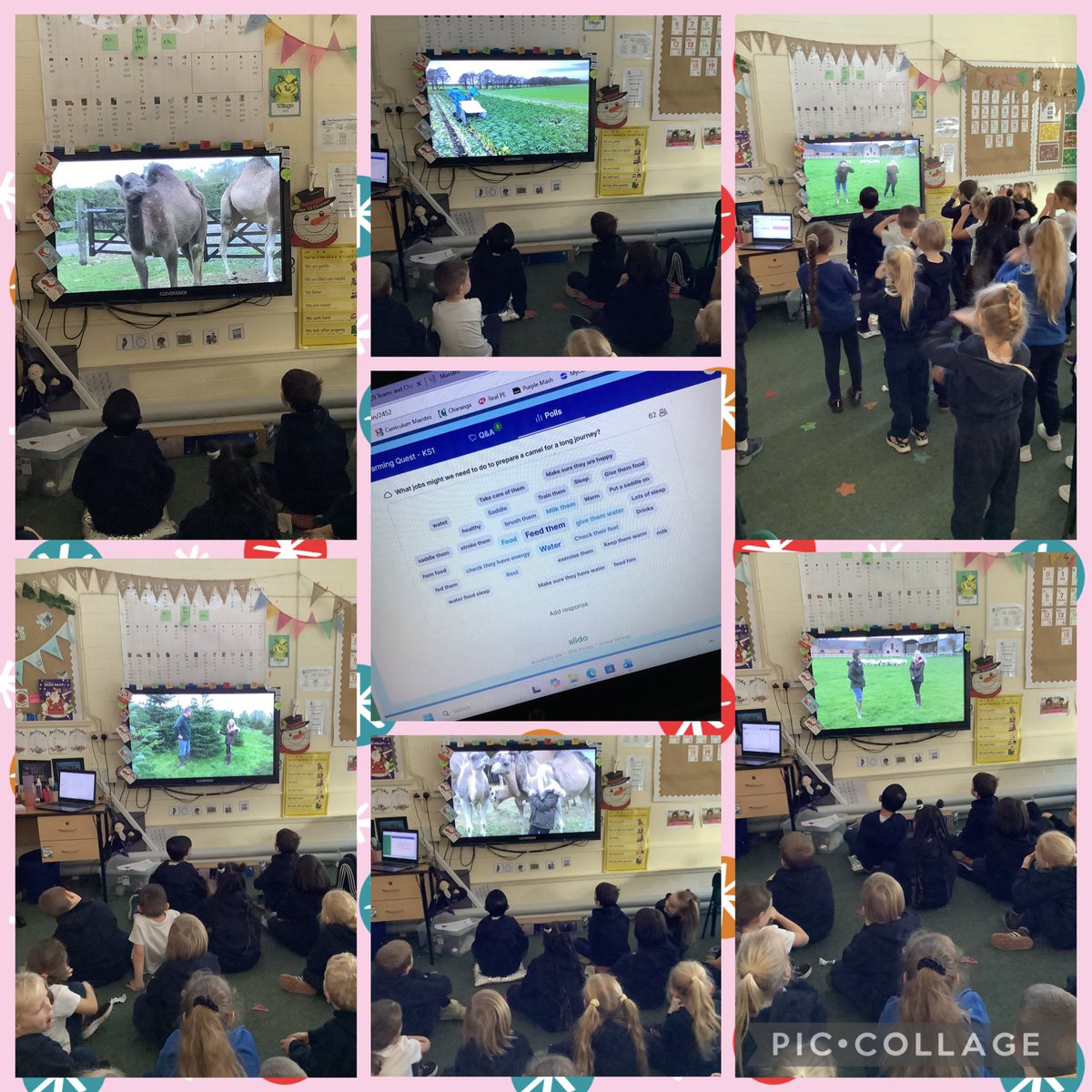 Miss Ellson tweet media