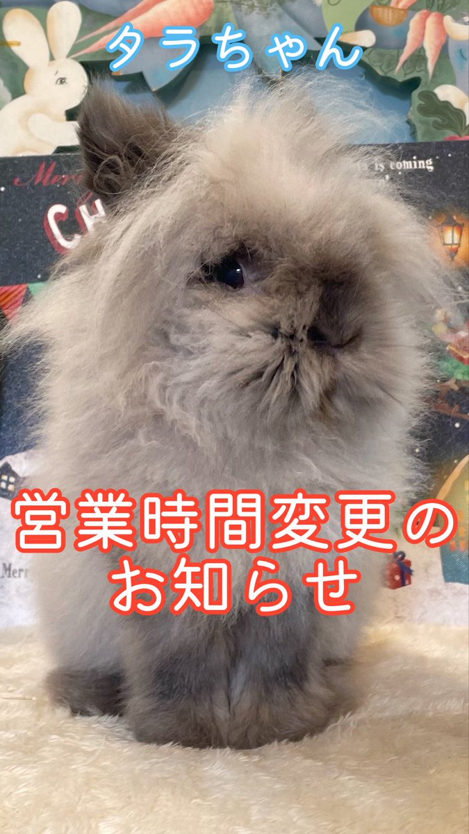 ラビッツ (@rabbits_osaka) / Posts / X