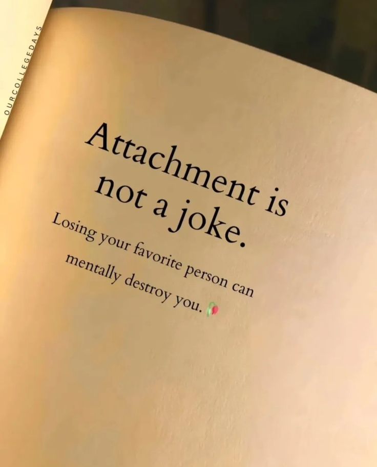 Anika (@aanika_z) on Twitter photo 