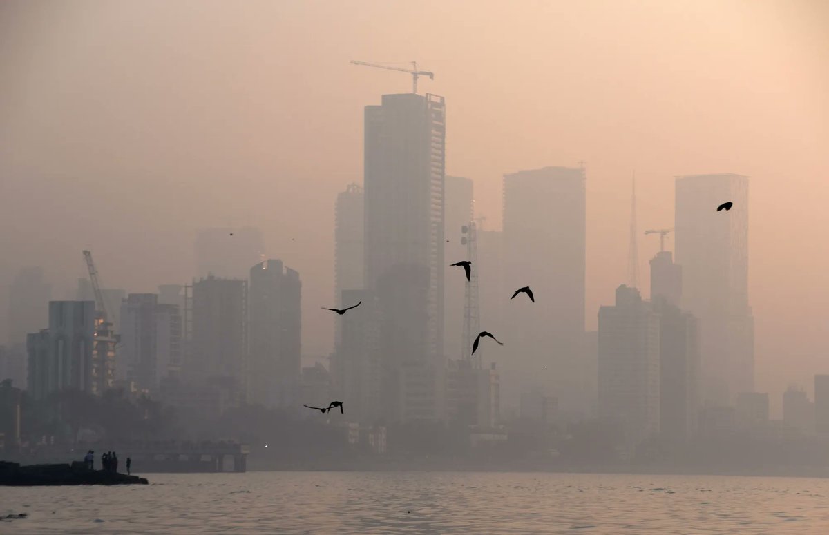 Mumbai Rains tweet media