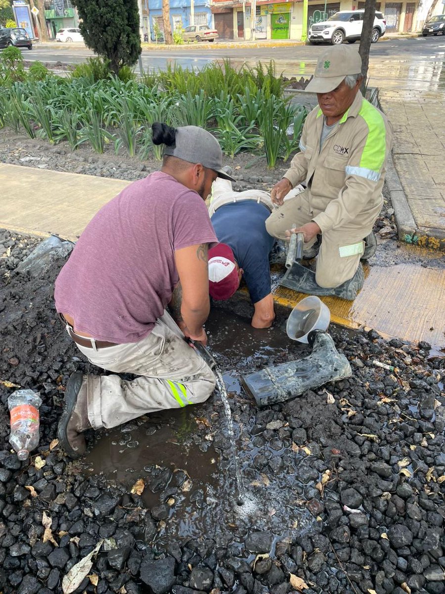 #BuenosDías☀️ 

Luego de recibir reportes ciudadanos, reparamos fuga de agua tratada en camellón de Congreso de la Unión, a la altura de calle Mocorito, en la colonia Álvaro Obregón.🪏💦

#ObrasYDesarrolloUrbano 
#VCCercaDeSuGente
