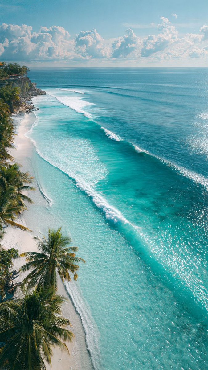 water_diaries's tweet image. 