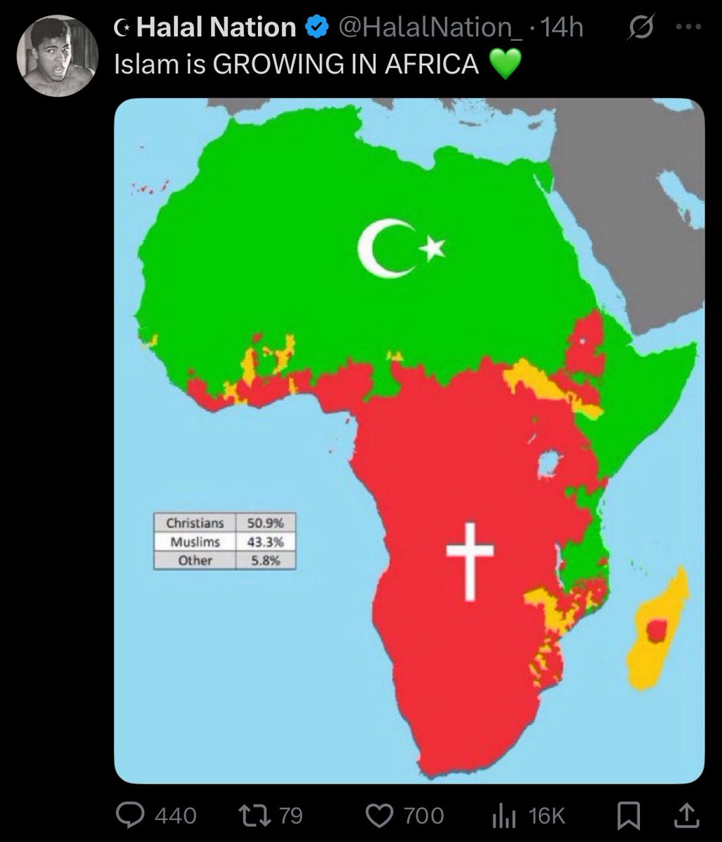 CatShoshanna's tweet image. Gee, I wonder why.