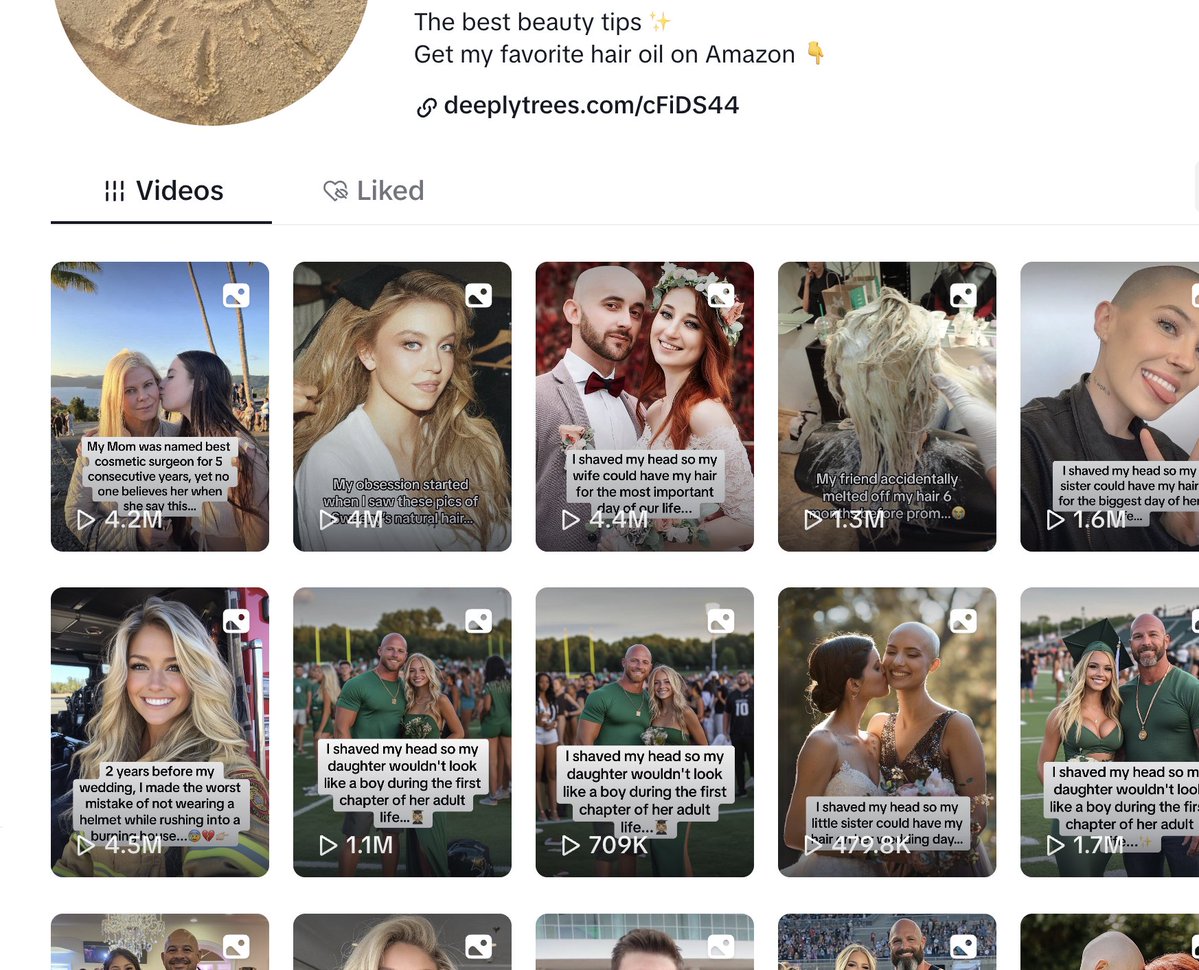 iamgdsa's tweet image. just found a large batch of those e-com faceless AI/pinterest slideshow accounts, consistently posting since 2023

will share more soon as i find some interesting insights