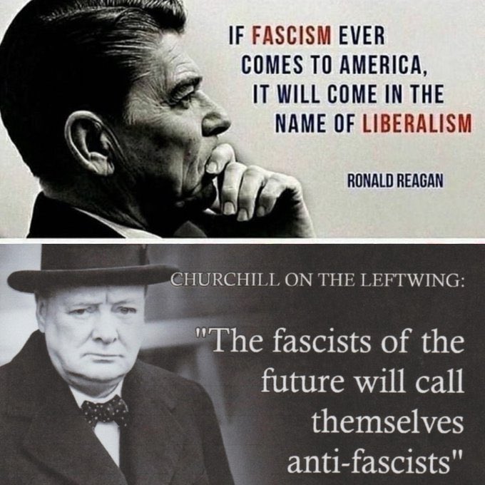 incelsteve's tweet image. You guys are really still playing this game? After we all saw your blm/antifa brown shirts? Covid authoritarianism? Gun grabbing?