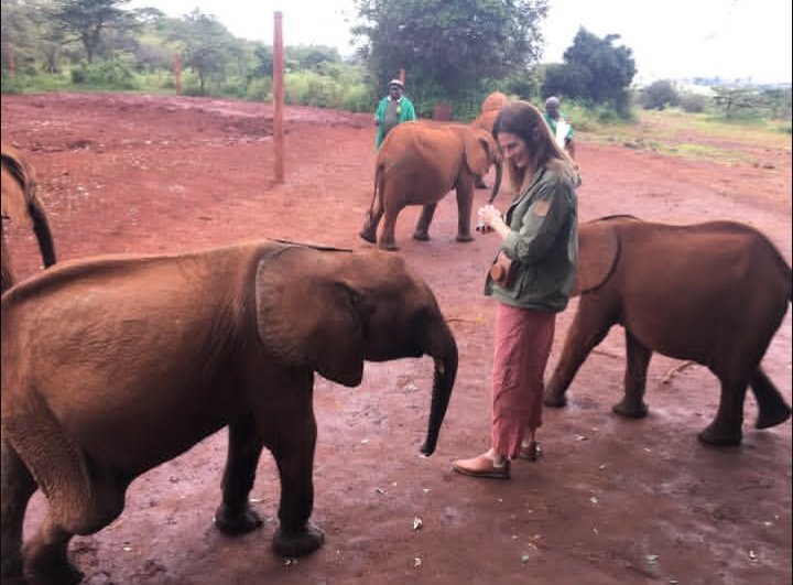 stanasposts's tweet photo. #StanaKatic Luggard surprised me by saying hello as I was trying to take a photo of one of his friends. #LeSigh #LeLove 💚💙🌎🐘🍼 @/dswt #Kenya #Nairobi #KenyaMyWay https://t.co/Ognw8iimtz