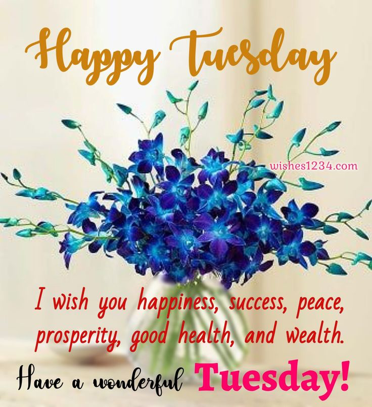 barbiesway's tweet image. Enjoy a beautiful day of blessings. Joy, patience, &amp;amp; clarity! 🙏🌹🫖😀❤️🇺🇸🍋🍅🥑☮️🐾🌻💻📚🖊️✝️ 
&quot;The best way to predict your future is to create it.&quot;
#TuesdayVibe #TuesdayMotivation #TuesdayBlessings
𝗚𝗼𝗼𝗱 𝗠𝗼𝗿𝗻𝗶𝗻𝗴☕️ 𝐆𝐨𝐨𝐝 𝐀𝐟𝐭𝐞𝐫𝐧𝐨𝐨𝐧🌞 𝗚𝗼𝗼𝗱 𝗡𝗶𝗴𝗵𝘁🌛⭐️