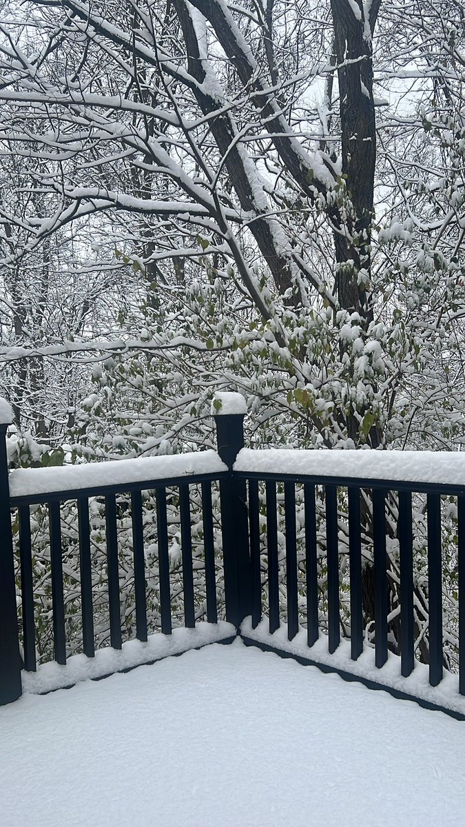 Woke up to this here… called off work, they say I ain’t have the time, told em I got the money! Shoveled to make sure Twan had a clear path from the garage… n now I’m drinking hot chocolate ☕️ watching Tulsa King