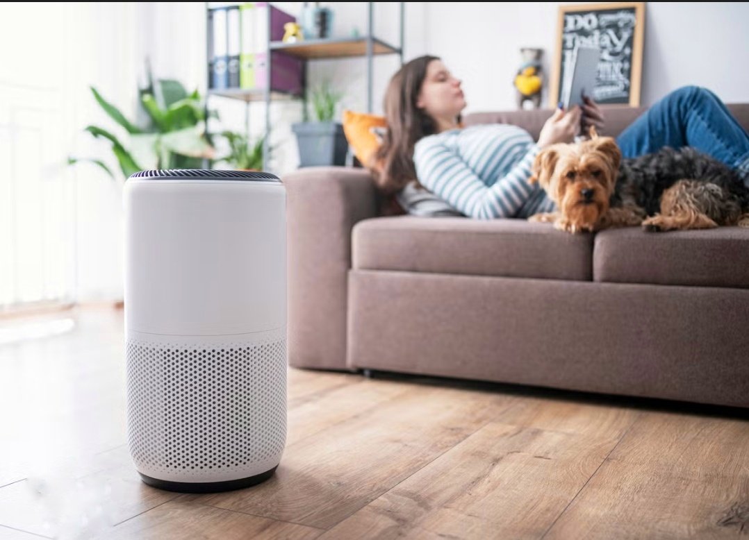 Deepeshpatel87's tweet image. दिल्ली वालों को पौधे नहीं एयर प्यूरीफायर बेचो, दिल्ली प्रशासन ने नर्सरी के सारे पौधे तोड़वा दिए !!

स्वागत है दुनिया के सबसे प्रदूषित, देश की राजधानी, दिलों की दिल दिल्ली में। जब पूरा राजधानी प्रदूषण से त्रस्त है उस समय पर दिल्ली प्रशासन नर्सरी में पौधे तोड़ रहे हैं।

जिन पौधों…