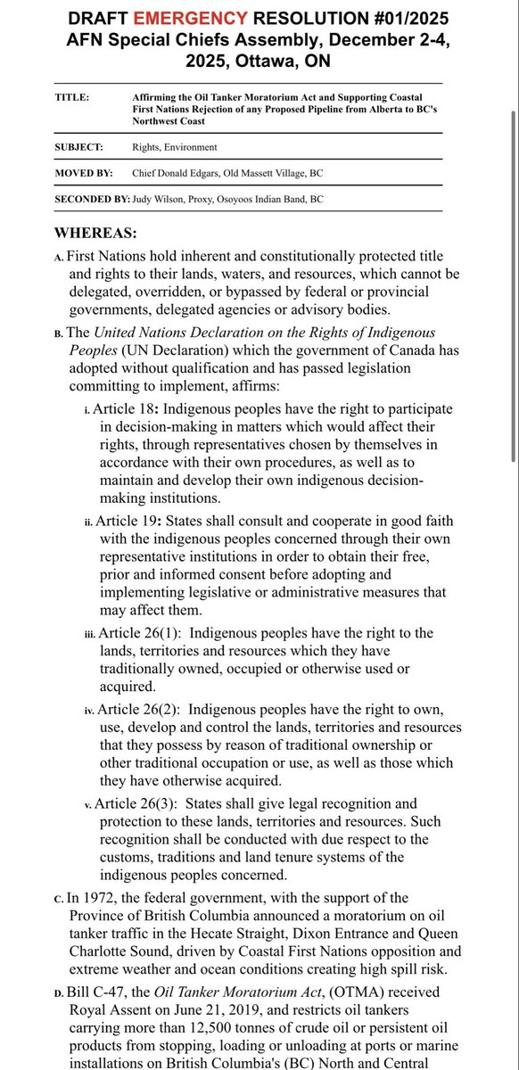 Olivia Stefanovich tweet media