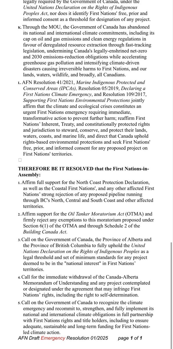 Olivia Stefanovich tweet media