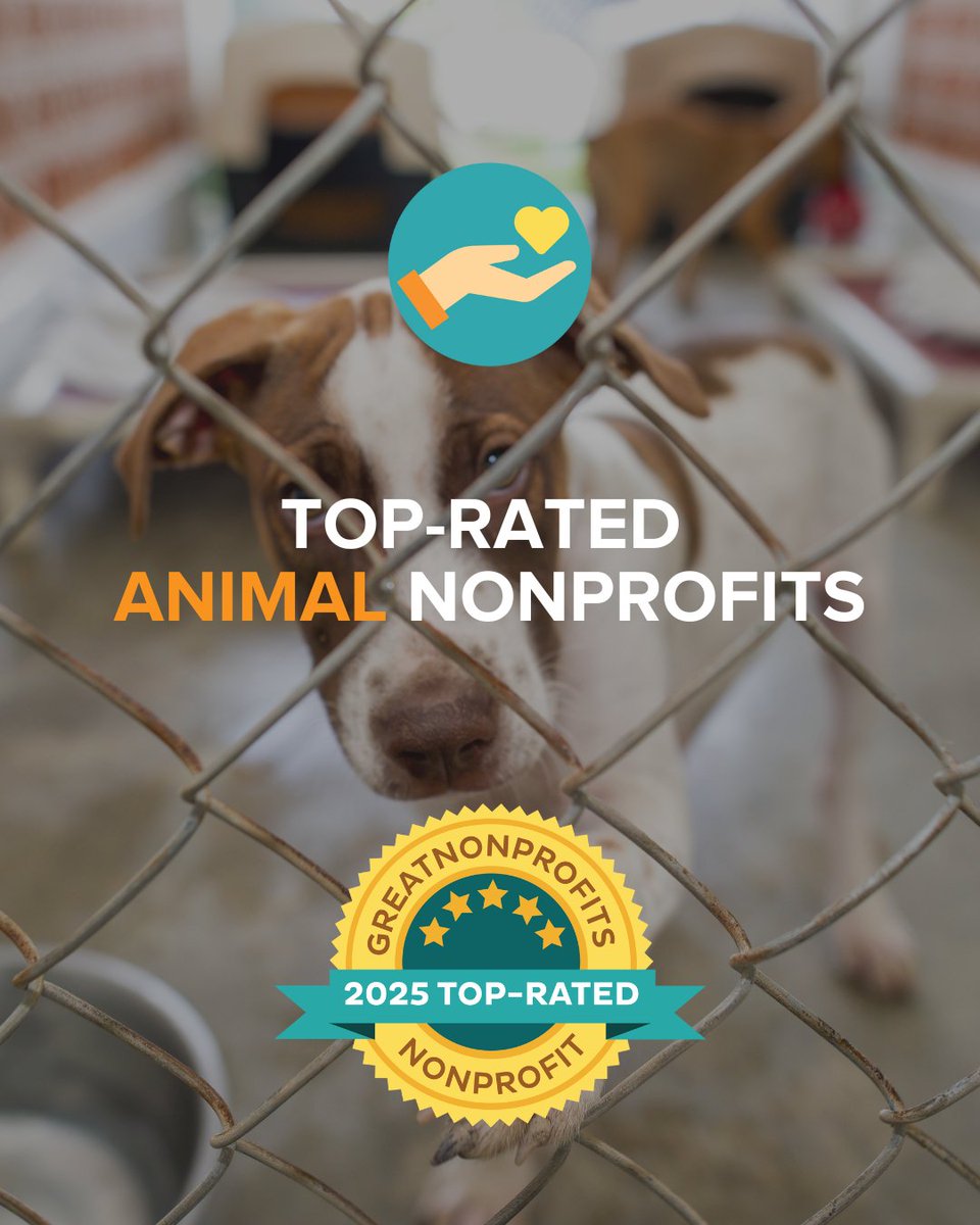 GreatNonprofits's tweet photo. From rescue shelters to wildlife sanctuaries, these top-rated nonprofits are giving animals a second chance.
Support them this Giving Tuesday: https://t.co/9SyhMTTUQU https://t.co/6eVguV5K7R