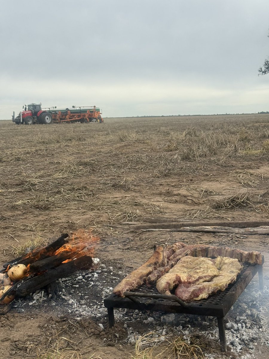 Que se hagan agua los helados