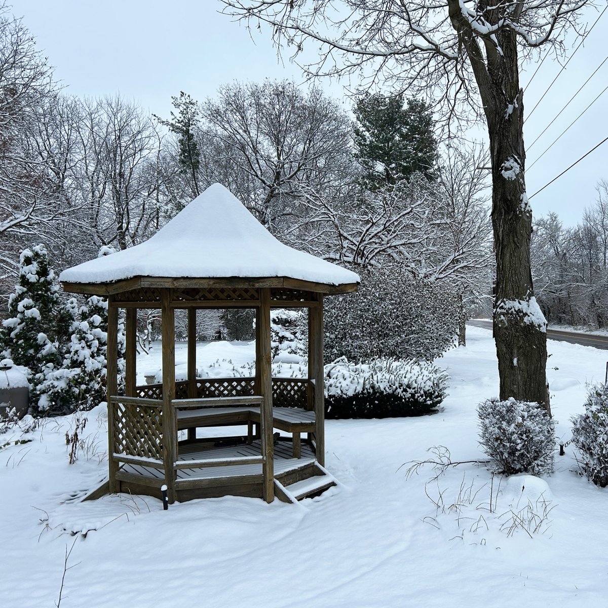 December Time! ❄⛄