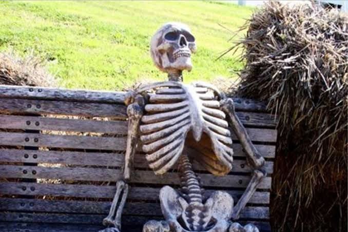 AirdropQuestor's tweet image. I’m an OFC user… but honestly, my patience bar is hitting red. Can’t wait anymore 😁🚀 Let’s see what drops next!
@ofc_the_club
#OFC #OnFootball #CryptoUpdate #AirdropWaiting #Web3