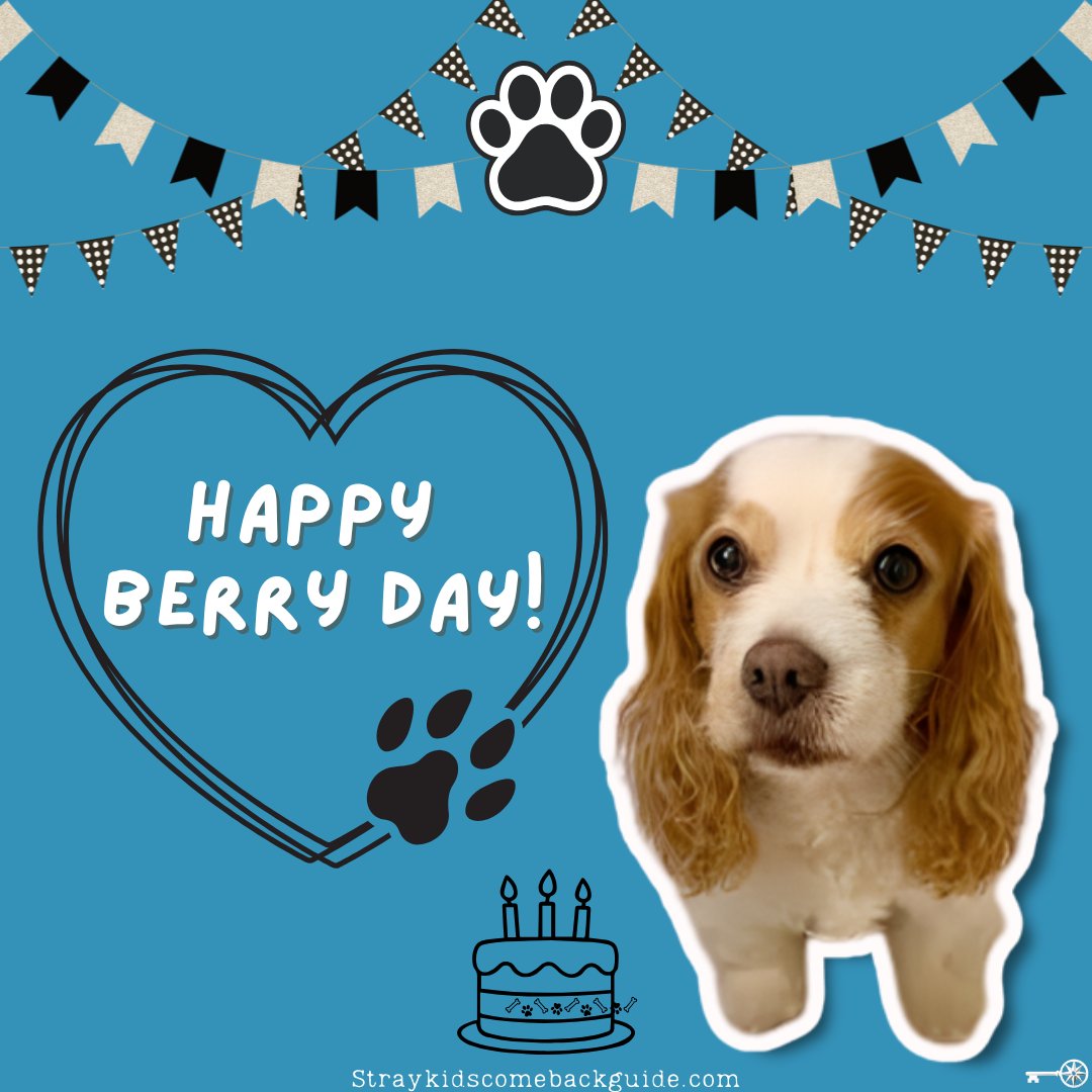 SKZCBGuide's tweet photo. Happy Berry Day! 🎂

Happy Birthday to Berry, the sweetest Bang family princess and the softest ball of comfort and joy. Thank you for watching over the Bang home with your gentle eyes and fluffy heart. 

STAYs love you so much, Berry-ah – wishing you all the tasty snacks, belly rubs, and cozy naps today 🐾

 #HappyBerryDay #BangChan #방찬