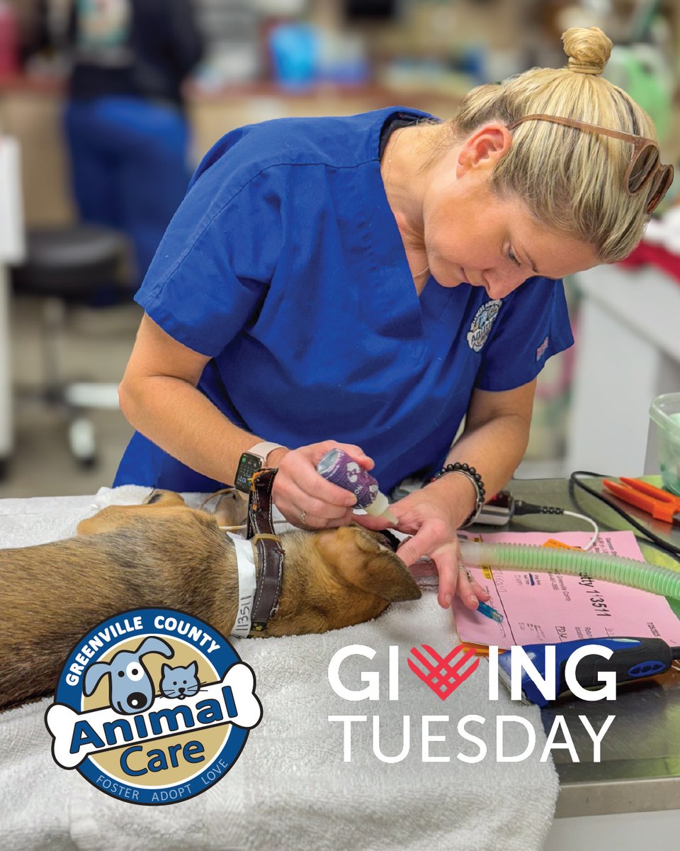 Together, we can make 2026 a year of progress, with even more pets &amp; families helped and lives saved!
Text GCAC to 89871 to donate via text. OR you can also donate at GreenvillePets.org  and  partnersinanimalcare.org