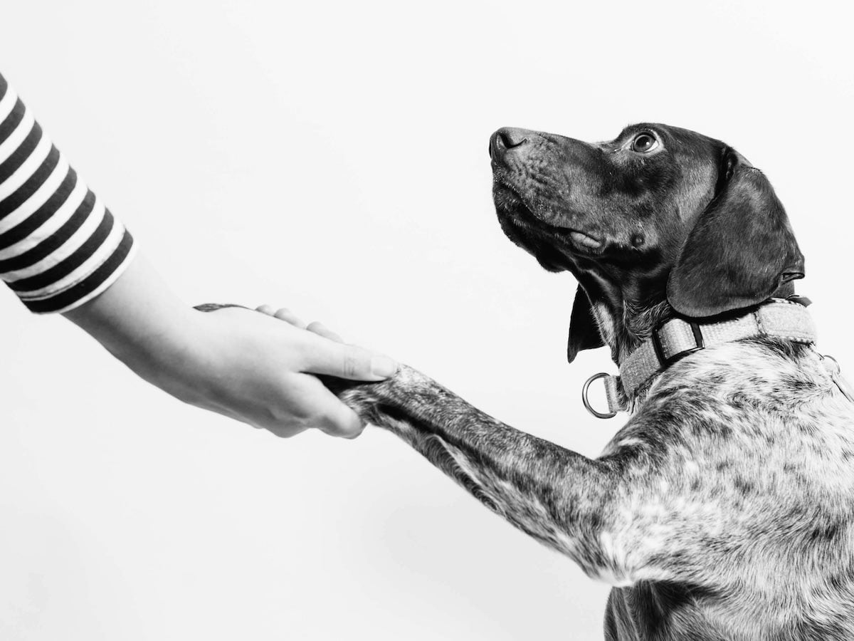 GetReworked's tweet image. Why AI Training Fails to Drive Adoption and What to Do Instead reworked.co/learning-devel… #AI #ArtificialIntelligence