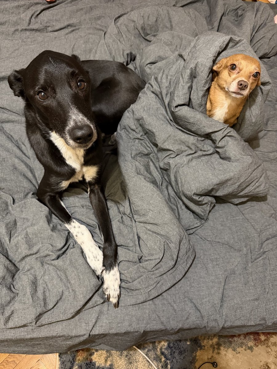 «Довго тобі ще працювати?»