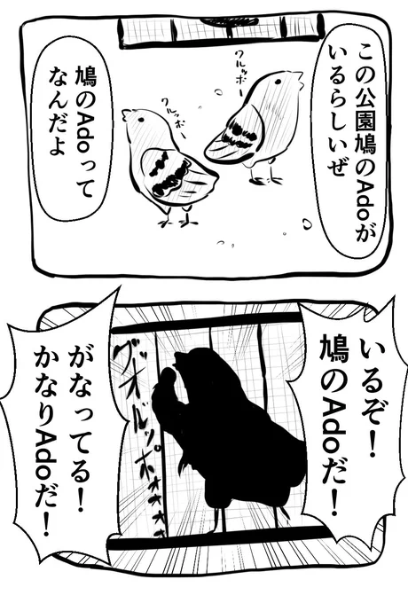 鳩のAdo 