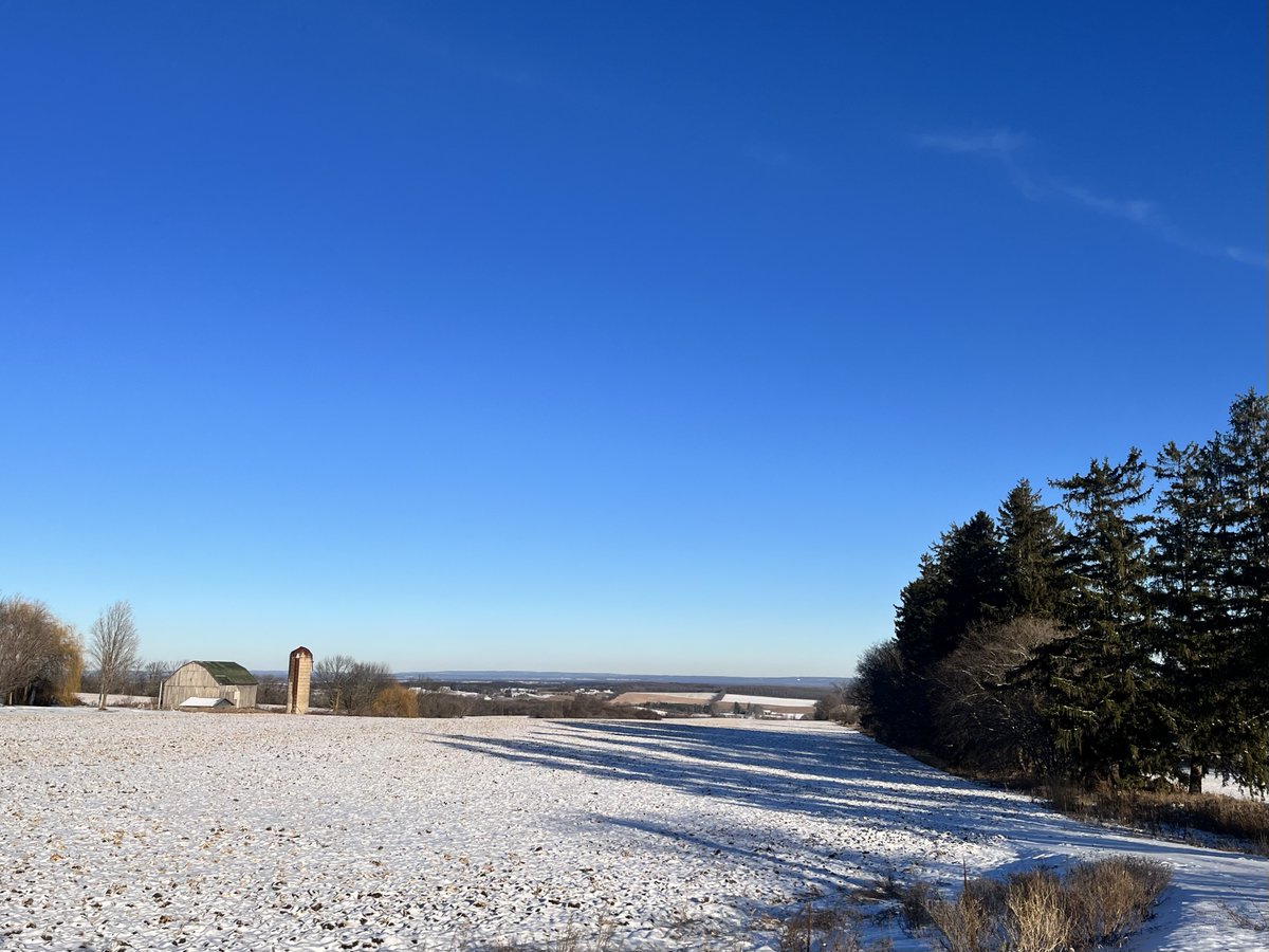 Clearview_twp's tweet image. Winter brings a whole new kind of magic to Clearview ❄️✨ Like this peaceful farmer's view meeting the clear blue sky. #WinterInClearview #RuralViews #discoverclearview #discoveringclearview #FourSeasonstoDiscover