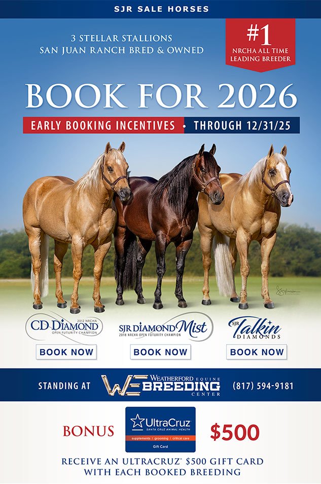 CD DIAMOND (@cd_diamond_sjr) on Twitter photo 