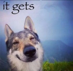 Woofie 🏳️‍🌈 (@meowferi) on Twitter photo 