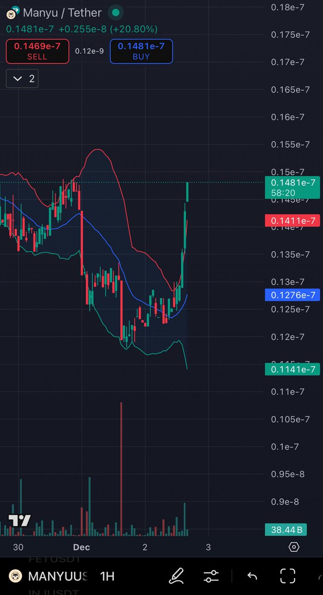 TheDream⚜️ tweet media