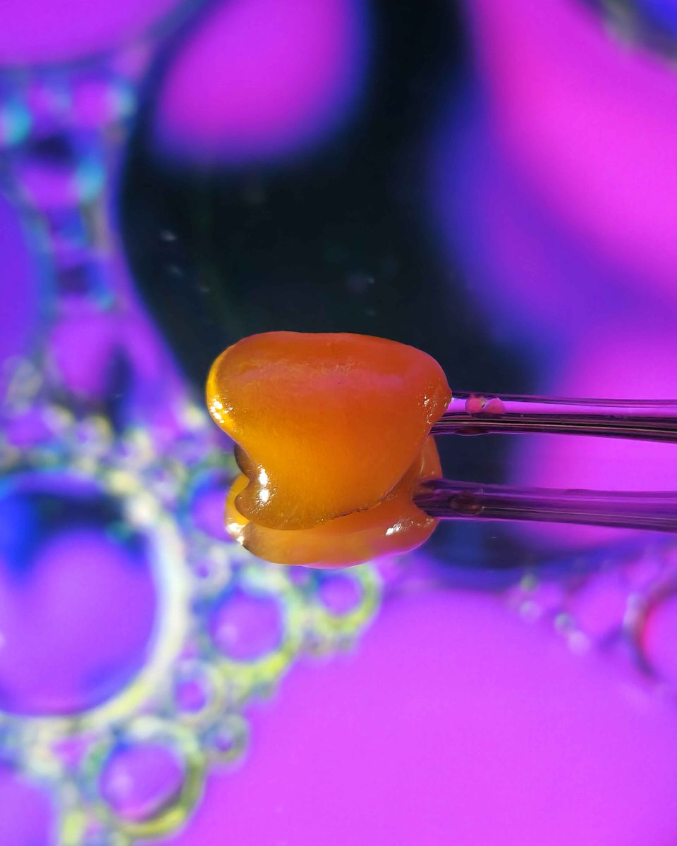 harmonyextracts's tweet image. This Purple Skunk live badder turned out extra saucy and terpy. 🍯 #liveresin #livebadder #dabs