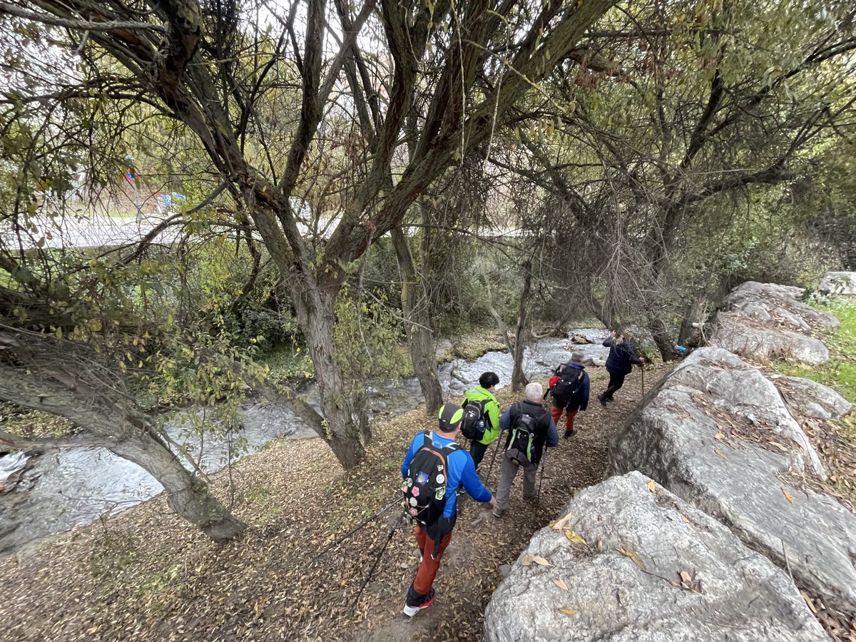 Isa Nestares tweet media